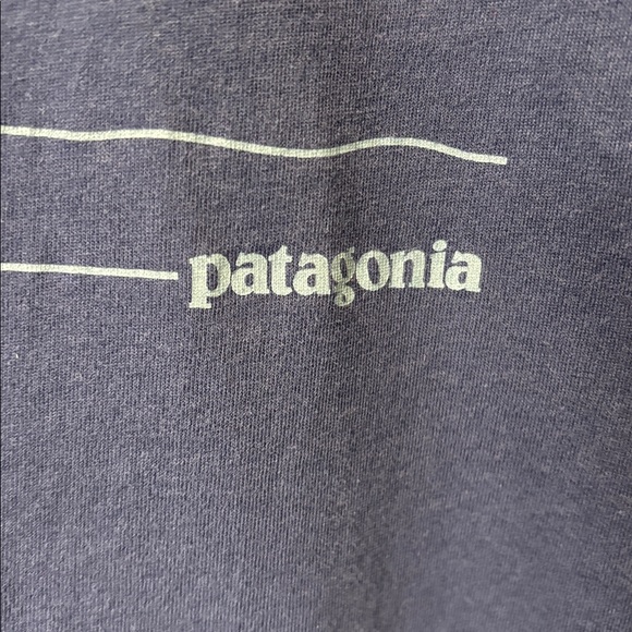 Patagonia Dark Blue Graphic Men's Tee Size Large 100% Cotton. - Picture 3 of 8